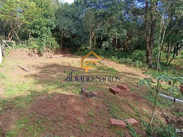 Terreno para Venda em São Leopoldo - 4